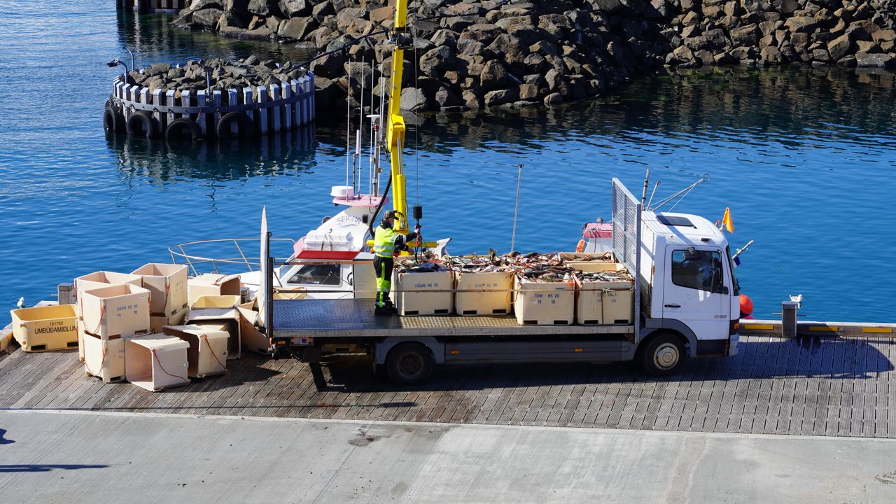 services-01 Truck loading seafood crates at a pier in Iceland with a crane, set against a rocky coastal backdrop.